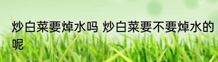 炒白菜要焯水吗 炒白菜要不要焯水的呢