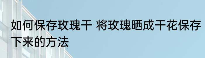 如何保存玫瑰干 将玫瑰晒成干花保存下来的方法