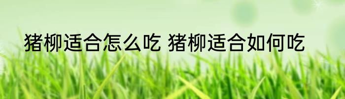 猪柳适合怎么吃 猪柳适合如何吃