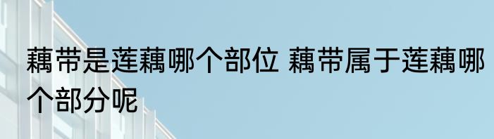 藕带是莲藕哪个部位 藕带属于莲藕哪个部分呢