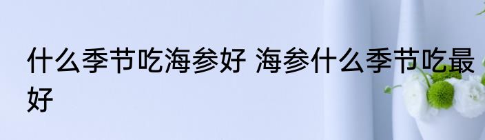 什么季节吃海参好 海参什么季节吃最好