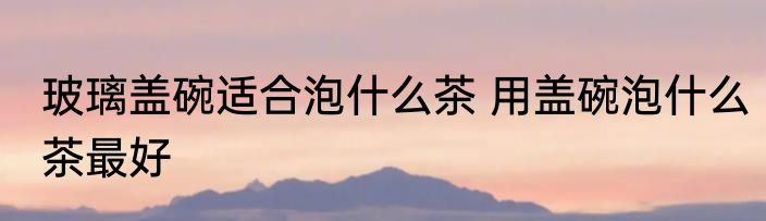 玻璃盖碗适合泡什么茶 用盖碗泡什么茶最好