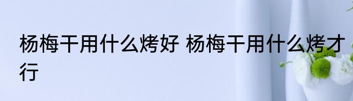 杨梅干用什么烤好 杨梅干用什么烤才行