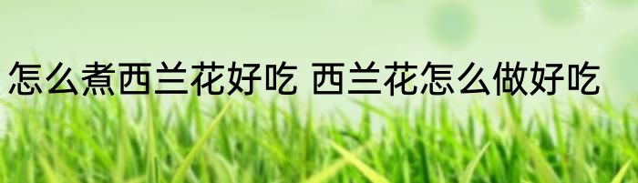 怎么煮西兰花好吃 西兰花怎么做好吃