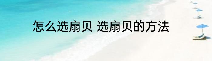 怎么选扇贝 选扇贝的方法