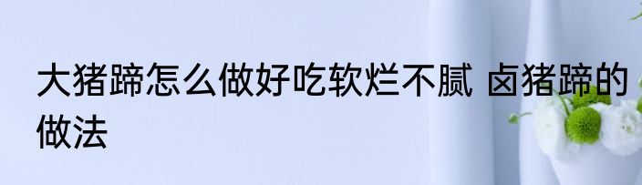 大猪蹄怎么做好吃软烂不腻 卤猪蹄的做法