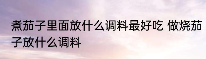 煮茄子里面放什么调料最好吃 做烧茄子放什么调料
