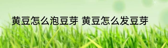 黄豆怎么泡豆芽 黄豆怎么发豆芽