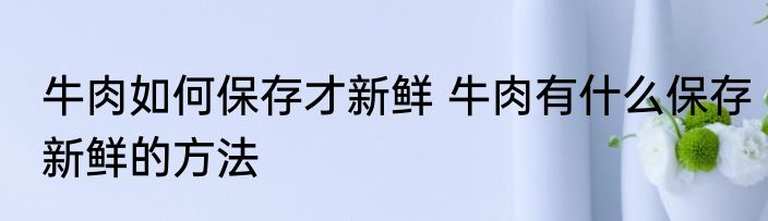 牛肉如何保存才新鲜 牛肉有什么保存新鲜的方法