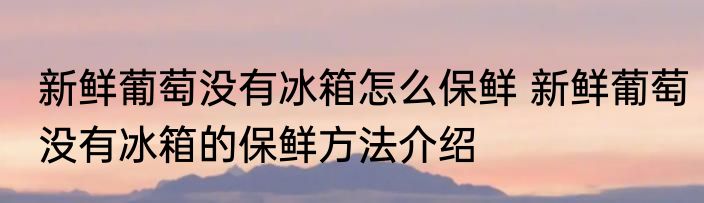 新鲜葡萄没有冰箱怎么保鲜 新鲜葡萄没有冰箱的保鲜方法介绍