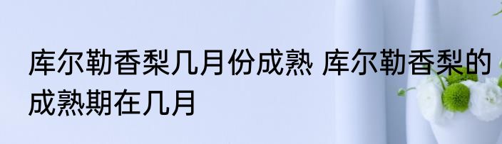库尔勒香梨几月份成熟 库尔勒香梨的成熟期在几月