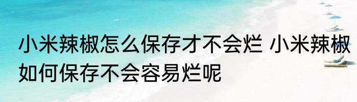 小米辣椒怎么保存才不会烂 小米辣椒如何保存不会容易烂呢