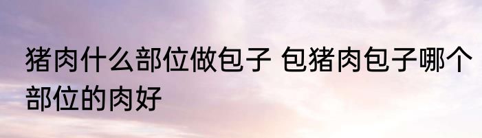猪肉什么部位做包子 包猪肉包子哪个部位的肉好
