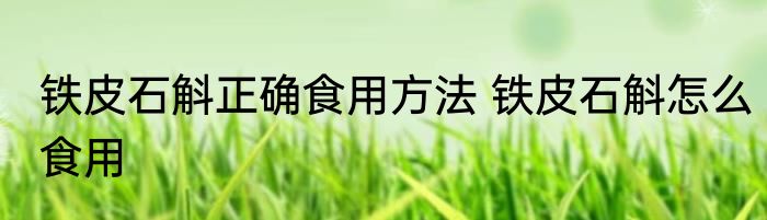 铁皮石斛正确食用方法 铁皮石斛怎么食用