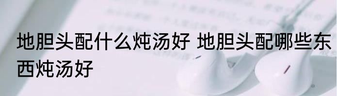 地胆头配什么炖汤好 地胆头配哪些东西炖汤好