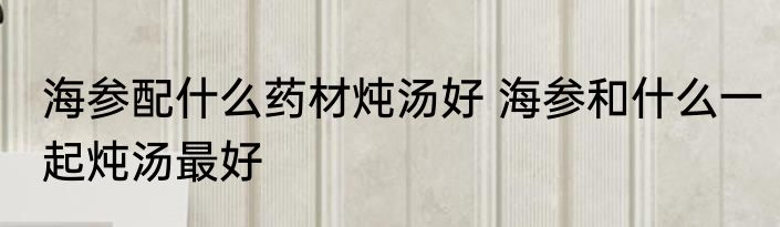 海参配什么药材炖汤好 海参和什么一起炖汤最好