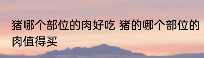 猪哪个部位的肉好吃 猪的哪个部位的肉值得买