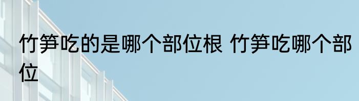 竹笋吃的是哪个部位根 竹笋吃哪个部位