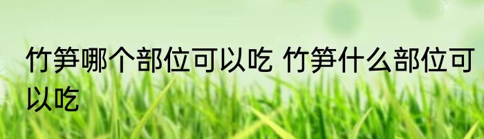 竹笋哪个部位可以吃 竹笋什么部位可以吃