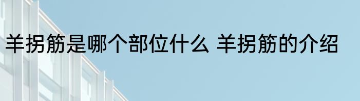 羊拐筋是哪个部位什么 羊拐筋的介绍