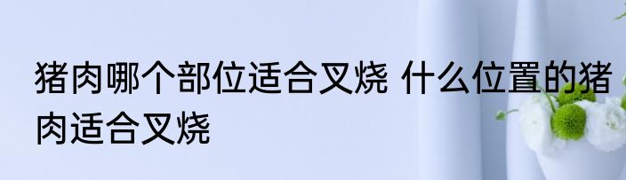 猪肉哪个部位适合叉烧 什么位置的猪肉适合叉烧
