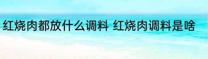 红烧肉都放什么调料 红烧肉调料是啥
