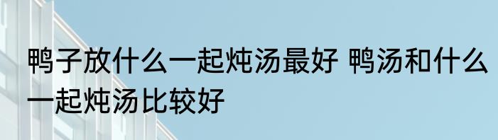 鸭子放什么一起炖汤最好 鸭汤和什么一起炖汤比较好