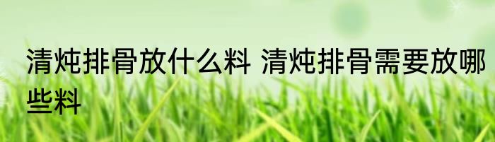 清炖排骨放什么料 清炖排骨需要放哪些料