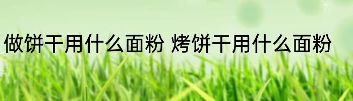 做饼干用什么面粉 烤饼干用什么面粉