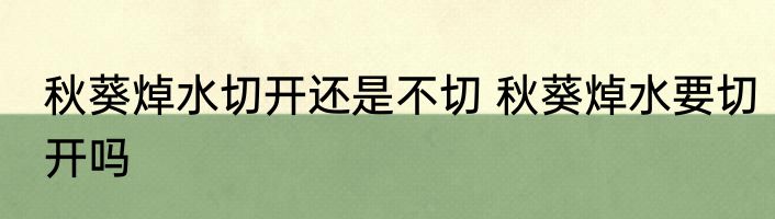 秋葵焯水切开还是不切 秋葵焯水要切开吗