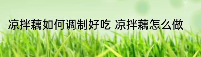 凉拌藕如何调制好吃 凉拌藕怎么做