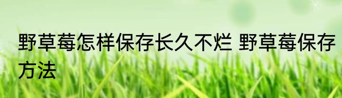 野草莓怎样保存长久不烂 野草莓保存方法