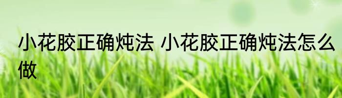 小花胶正确炖法 小花胶正确炖法怎么做