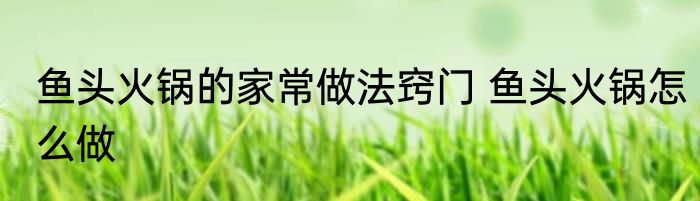 鱼头火锅的家常做法窍门 鱼头火锅怎么做