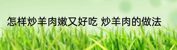 怎样炒羊肉嫩又好吃 炒羊肉的做法