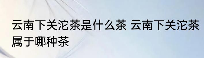 云南下关沱茶是什么茶 云南下关沱茶属于哪种茶