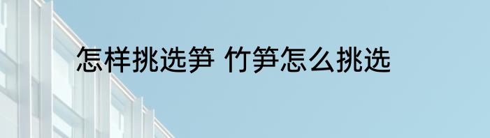 怎样挑选笋 竹笋怎么挑选