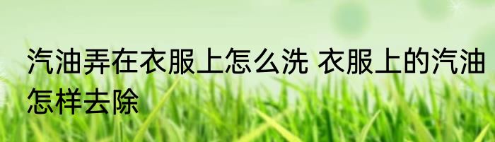 汽油弄在衣服上怎么洗 衣服上的汽油怎样去除