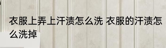 衣服上弄上汗渍怎么洗 衣服的汗渍怎么洗掉
