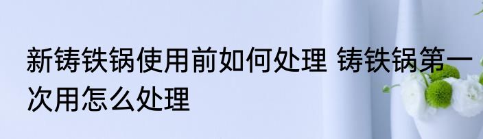 新铸铁锅使用前如何处理 铸铁锅第一次用怎么处理
