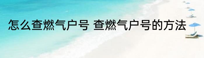 怎么查燃气户号 查燃气户号的方法