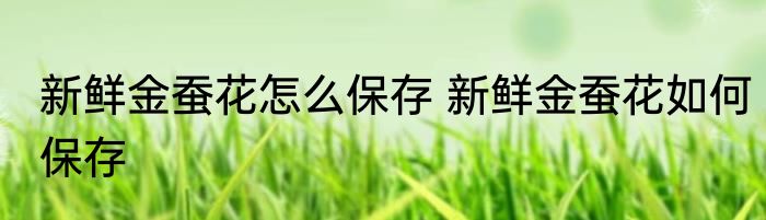 新鲜金蚕花怎么保存 新鲜金蚕花如何保存