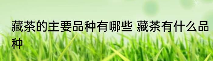 藏茶的主要品种有哪些 藏茶有什么品种