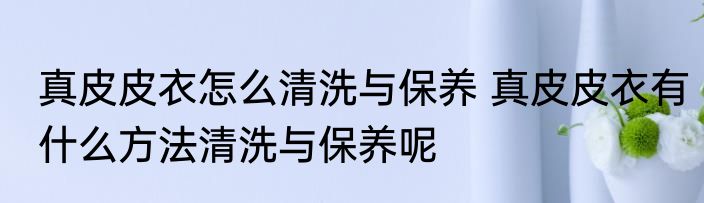 真皮皮衣怎么清洗与保养 真皮皮衣有什么方法清洗与保养呢