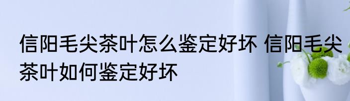 信阳毛尖茶叶怎么鉴定好坏 信阳毛尖茶叶如何鉴定好坏