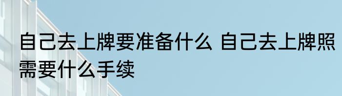 自己去上牌要准备什么 自己去上牌照需要什么手续