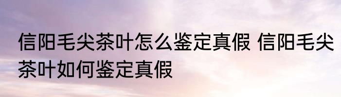 信阳毛尖茶叶怎么鉴定真假 信阳毛尖茶叶如何鉴定真假