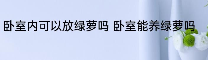 卧室内可以放绿萝吗 卧室能养绿萝吗