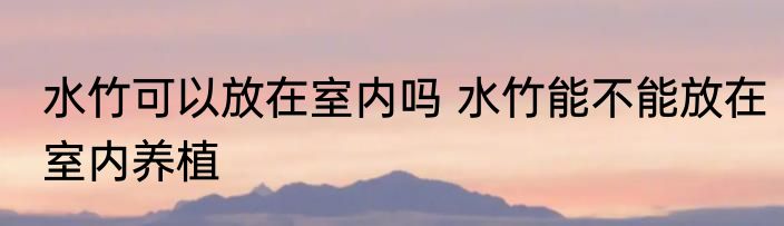 水竹可以放在室内吗 水竹能不能放在室内养植