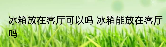 冰箱放在客厅可以吗 冰箱能放在客厅吗